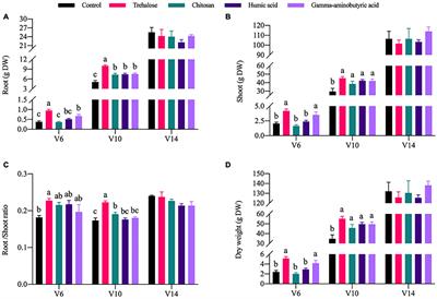 Trehalose Outperforms Chitosan, Humic Acid and Gamma-Aminobutyric Acid in Promoting the Growth of Field Maize